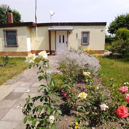 Ferienhaus Kaiserfelder Olbersdorf Eksteriør bilde